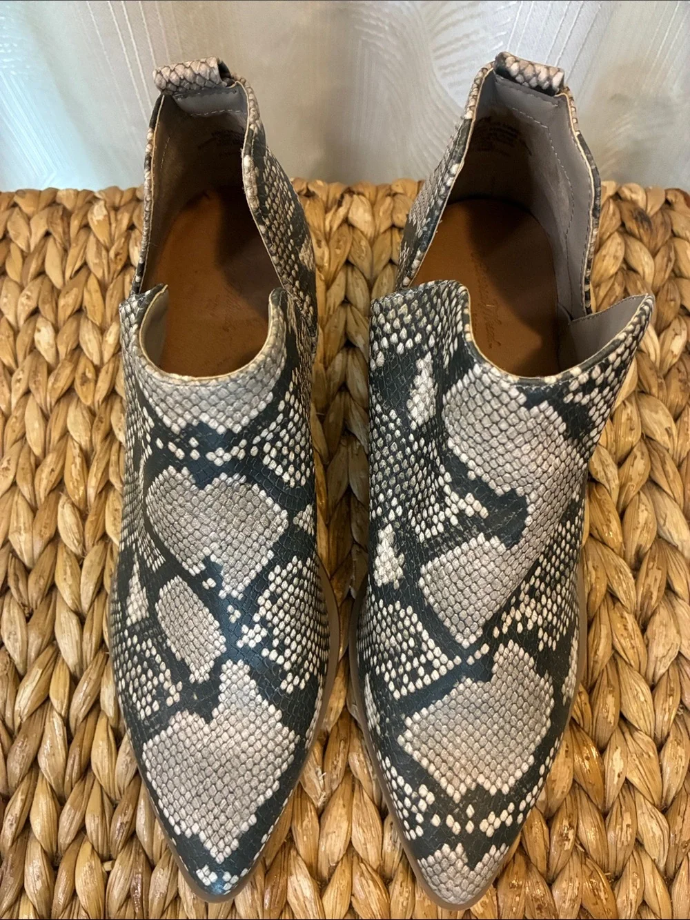 Universal Thread Snake-Print Ankle Booties in Black and Cream
